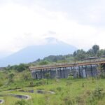 One Day Private Gorillas Tracking in Volcanoes National Park - Why Travelers Love This Tour