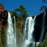 One Day Private Tour To Ouzoud Waterfalls from Marrakesh - Practical Details and Customer Experience