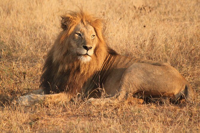 One day Safari including a 5 Hour Open Safari Vehicle Drive - FAQ