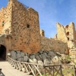 One Day Trip to Jerash & Ajloun Castle - Exploring Jerash: The Roman Wonder