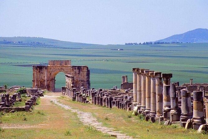 One day trip to Volubilis and meknes from Fes - Pricing & Value