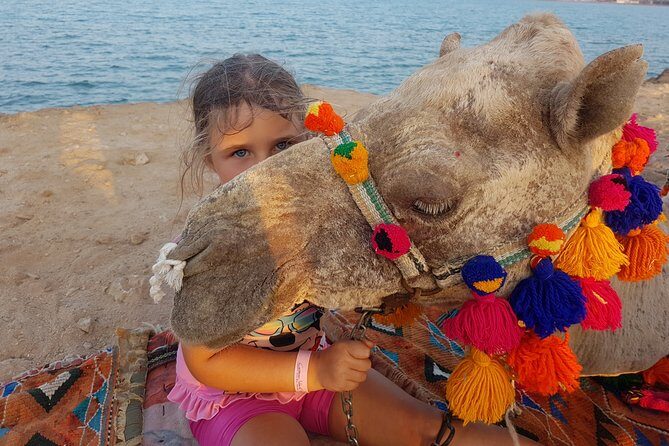 One hour Camel Ride At Amazing Marsa Alam Desert with transfer - Marsa Alam - Authenticity and the Cultural Significance