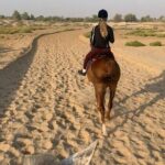 One Hour Desert Horseback Riding Adventure From Sharm El Sheikh - The Value of This Experience