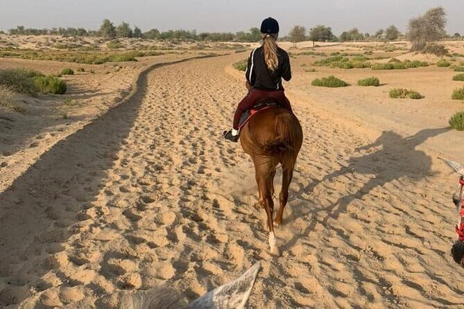One Hour Desert Horseback Riding Adventure From Sharm El Sheikh - The Value of This Experience