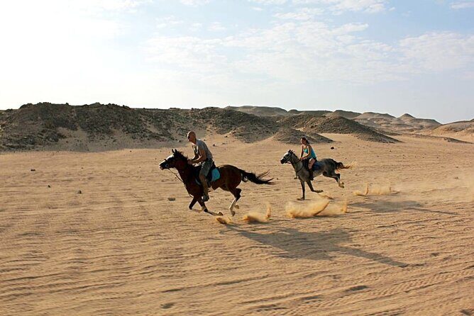 One Hour Horse Riding or Camel Riding At Amazing Desert in Hurghada - Why You’ll Love the Experience