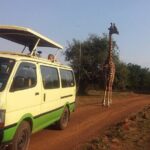One Night (Mid-range) Amboseli National Park Safari - The Value Proposition