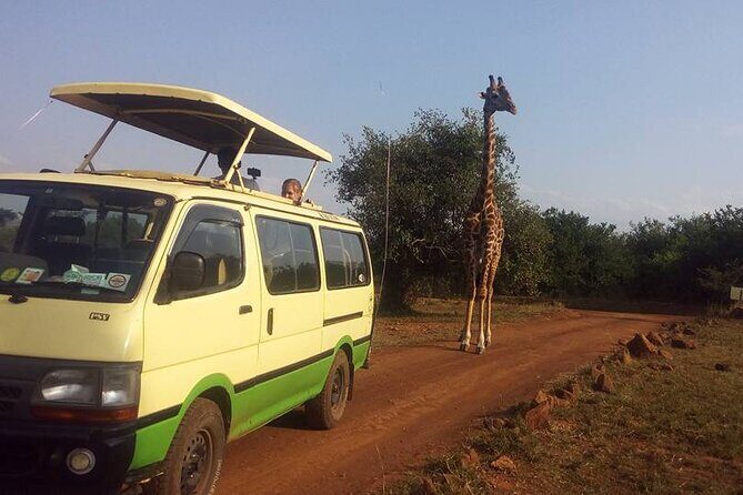 One Night (Mid-range) Amboseli National Park Safari - The Value Proposition