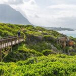 One-Way Hop-on Hop-off Bus from Cape Town to Port Elizabeth - Who Should Consider This Tour?