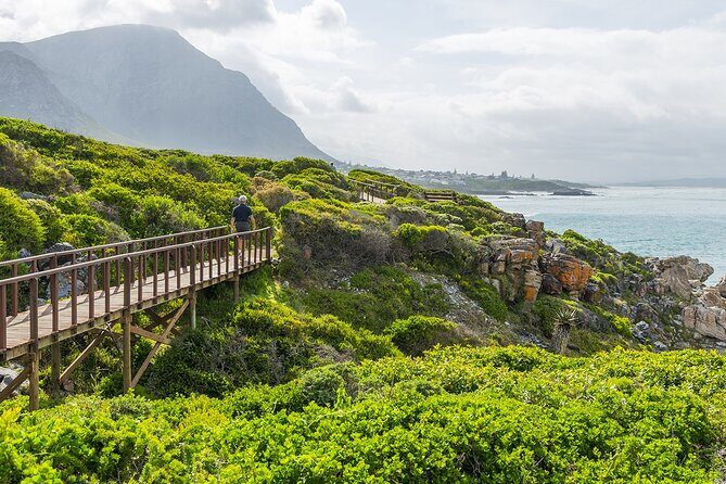 One-Way Hop-on Hop-off Bus from Cape Town to Port Elizabeth - Who Should Consider This Tour?