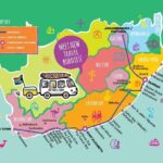 One-Way Hop-on Hop-off Bus from Port Elizabeth to Cape Town - In-Depth Look at the Itinerary and Stops