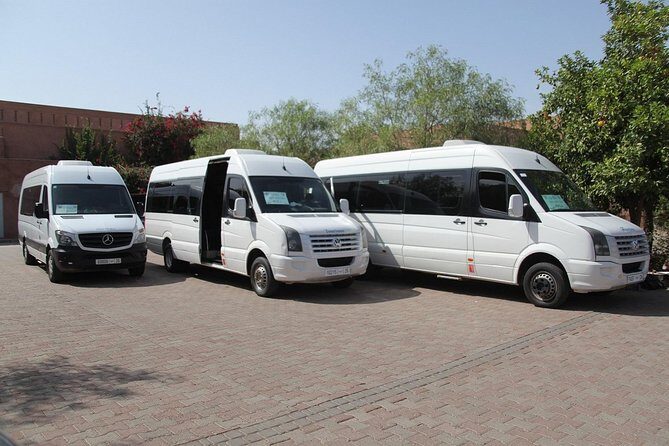 One-Way Marrakech-Menara Private Airport Transfer - Overview of the Marrakech-Menara Private Airport Transfer
