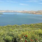 One-Way shared Transfer from Fez to Chefchaouen - Practical Details and Tips
