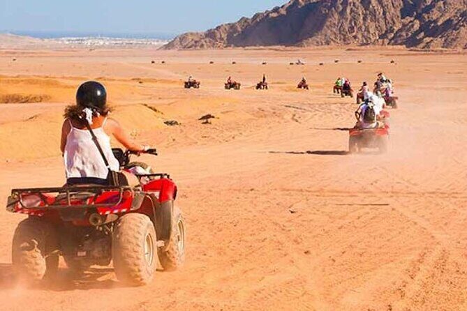 One_Hour Family Safari Quad and Buggy Driving from Hurghada - Key Points