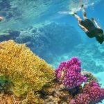 Orange Bay Island 2 Snorkeling Stops Water Sports Romantic Escape - What to keep in mind