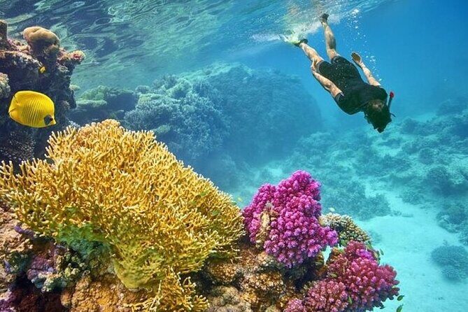Orange Bay Island 2 Snorkeling Stops Water Sports Romantic Escape - What to keep in mind