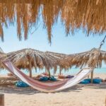 Orange Bay Island - Authentic Insights from Reviewers