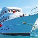 Orange Bay Island Snorkeling Trip with Parasailing - Hurghada - Authentic Experiences: Insights from Reviewers