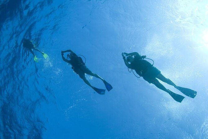 Orange Bay Island Snorkeling with Water Sports in Hurghada - Detailed Insights from Traveler Reviews