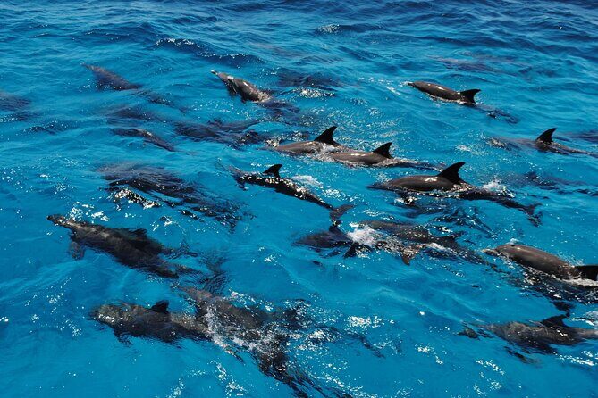 Orange Bay snorkeling tour with Lunch - water sports - The Itinerary Breakdown: What to Expect