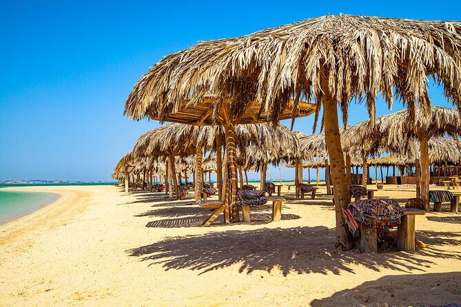 Orange Bay Snorkeling Trip with Lunch & Transfer From Hurghada - Why This Tour Offers Great Value