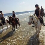 Orange Bay to Love 3 Reasons Snorkeling Crystal Waters Escape - Authentic Experiences from Real Travelers
