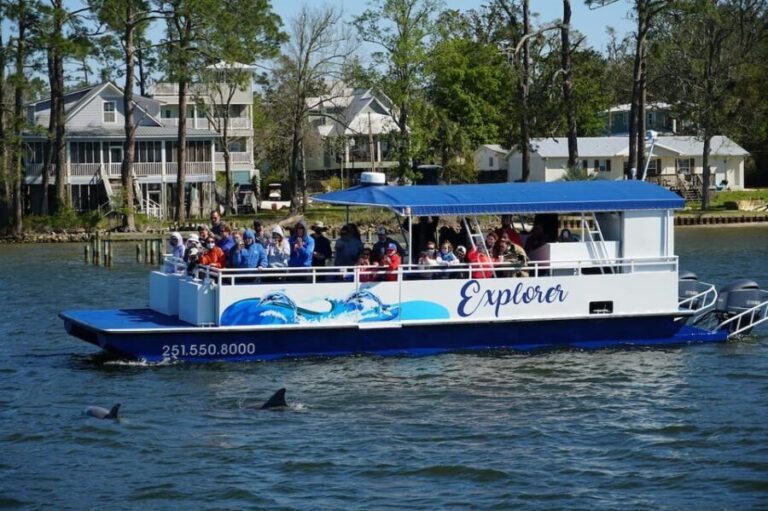Orange Beach: Dolphin Eco Sunset Cruise aboard The Explorer - Authentic Insights from Other Travelers