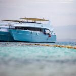 Orange Island Sea Trip Full Day With Lunch & transfer - Hurghada - Practical Details: Transportation, Costs, and Tips