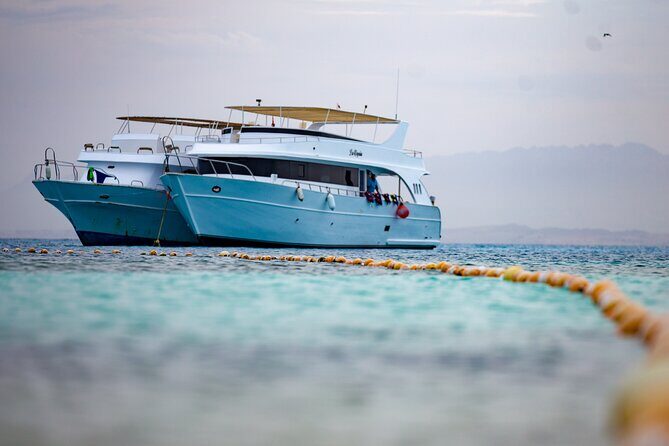 Orange Island Sea Trip Full Day With Lunch & transfer - Hurghada - Practical Details: Transportation, Costs, and Tips