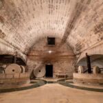 Organic Wine and Olive Oil Tasting Experience near Lecce - What to Expect on the Tour