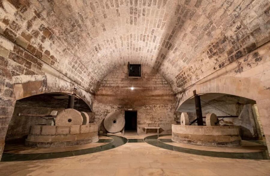 Organic Wine and Olive Oil Tasting Experience near Lecce - What to Expect on the Tour