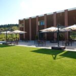 Organic Winery Visit with Wine & Food Tasting in Bologna - An In-Depth Look at the Organic Winery Experience in Bologna