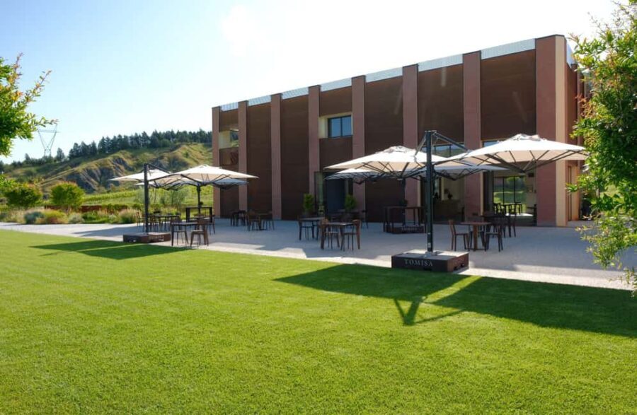 Organic Winery Visit with Wine & Food Tasting in Bologna - An In-Depth Look at the Organic Winery Experience in Bologna