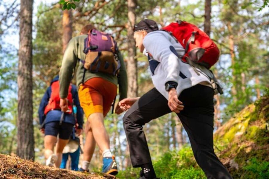 Oslo: Forest Hike with Guide & Husky - The Practicalities: What You Need to Know