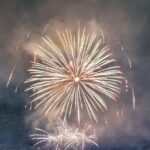 Oslo: New Year's Eve Cruise with DJ - Who This Experience is Perfect For