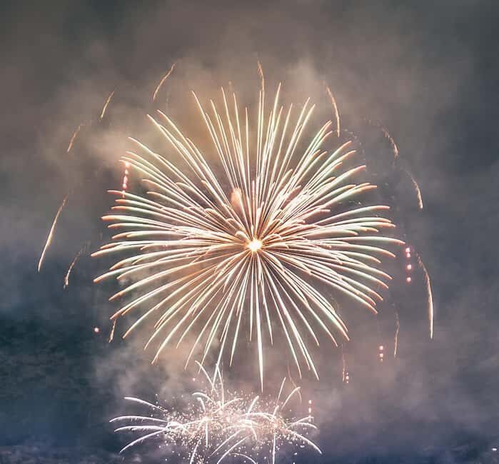 Oslo: New Year's Eve Cruise with DJ - Who This Experience is Perfect For
