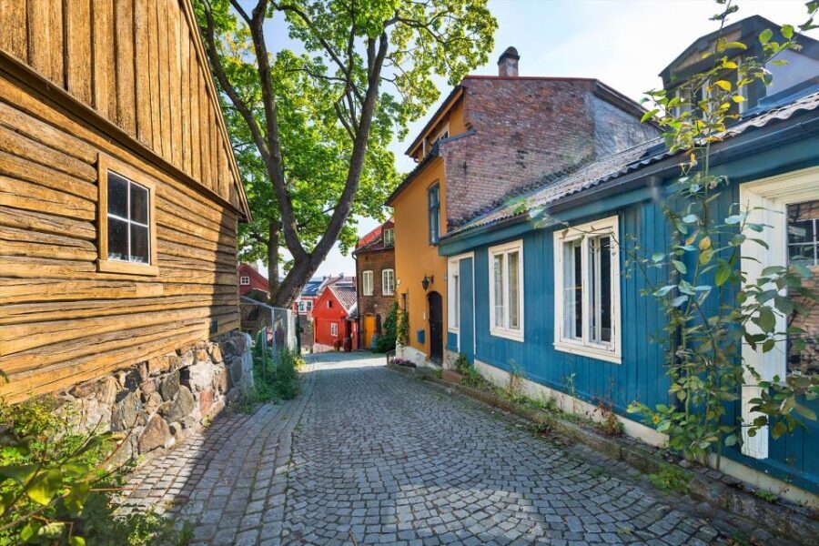 Oslo: Norwegian Food Tour & Hidden Gems City Walk - What Makes the Food Component Special?