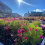 Oslo Walk:City Highlights & Hidden Gems_Private Walking Tour - Final Thoughts