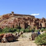Ouarzazate Day Tour including Lunch from Marrakech - Value and Practicalities