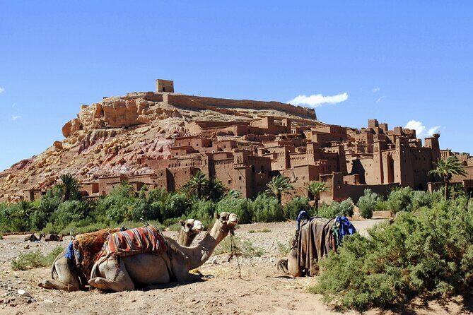 Ouarzazate Day Tour including Lunch from Marrakech - Value and Practicalities