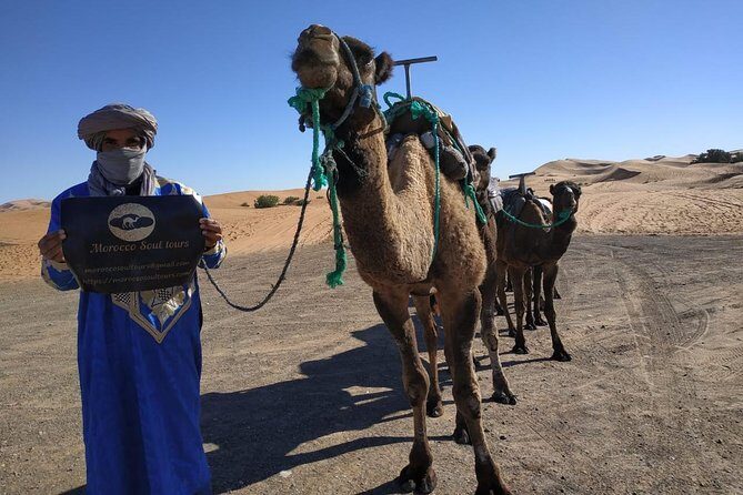 Ouarzazate - Desert - Fes 5 days 4 nights - The Practicalities and Value of This Tour