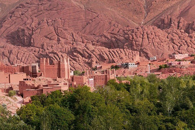 "Ouarzazate to Marrakech: Your Comfortable Private Transfer" - Who Should Book This Service?