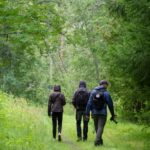 Oulu: Hietasaari Family Nature Walk with Picnic - The Photography Workshop: Capture the Moment