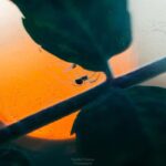 Oulu: Hietasaari Nature Tour with Local Guide - What to Expect During the Tour