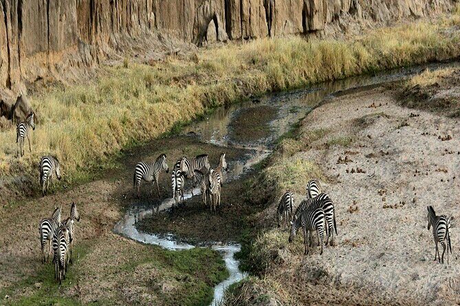 Our world's Top Best 3-Day Tanzania Budget Group Camping Safari - Day 2: Serengeti to Ngorongoro