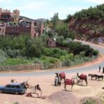 Ourika day tour from Marrakech - Final Thoughts: Is this Tour Worth It?