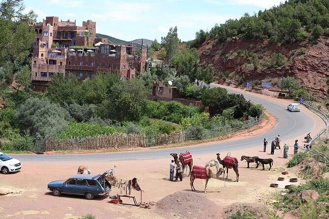 Ourika day tour from Marrakech - Final Thoughts: Is this Tour Worth It?