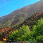 Ourika Valley and Atlas Mountains Day Trip From Marrakech - Why This Tour Is a Great Choice