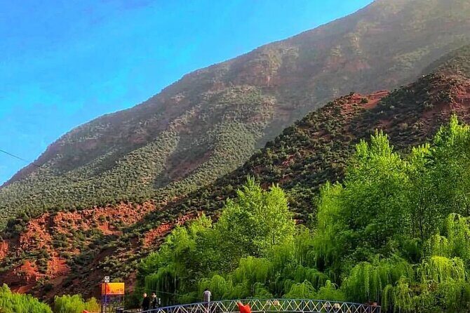 Ourika Valley and Atlas Mountains Day Trip From Marrakech - Why This Tour Is a Great Choice