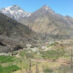 Ourika Valley and Atlas Mountains Full-Day Tour from Marrakech - Who Should Book This Tour?