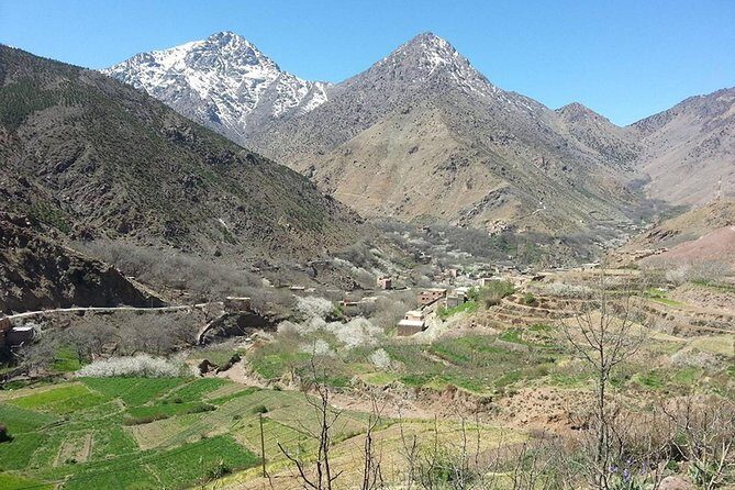 Ourika Valley and Atlas Mountains Full-Day Tour from Marrakech - Who Should Book This Tour?
